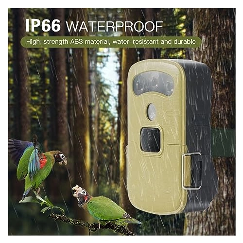 Solar Hunting Rear Camera - 4G 4 megapixel