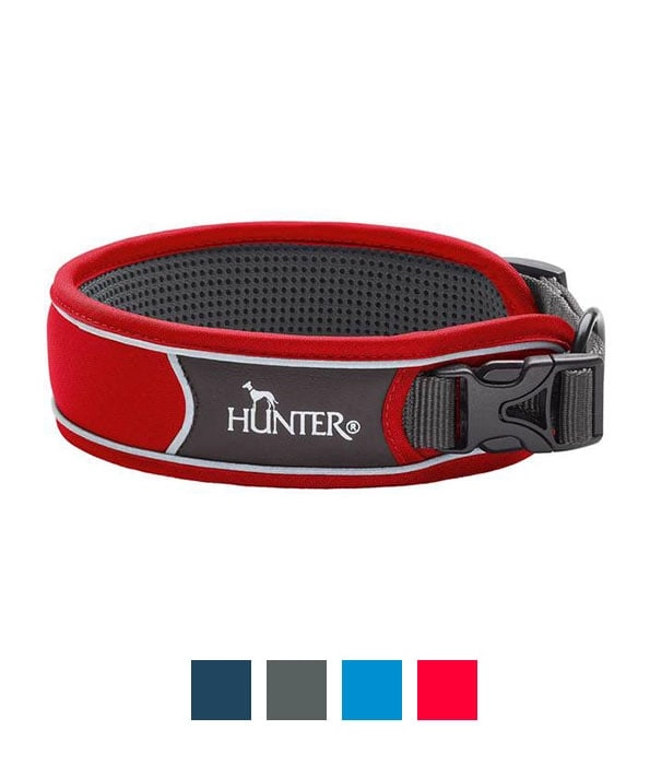 Hunter Divo - S Dog