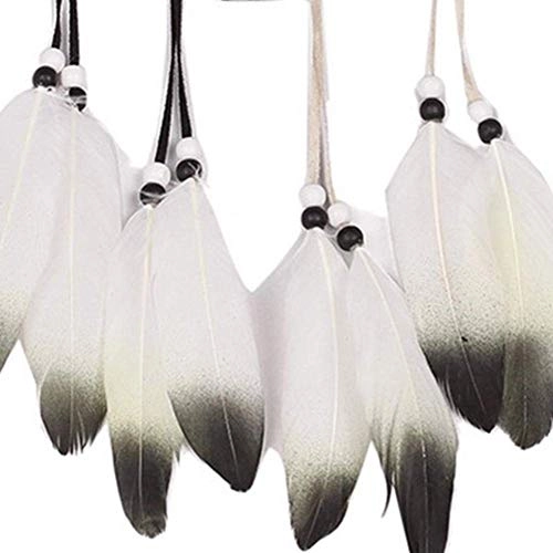 Dreamcatcher - Siderosphere, feathers, lines, wood beads.