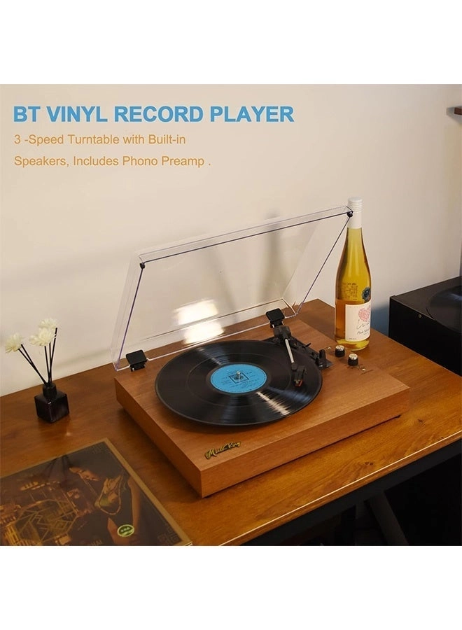 Vinyl Record Player