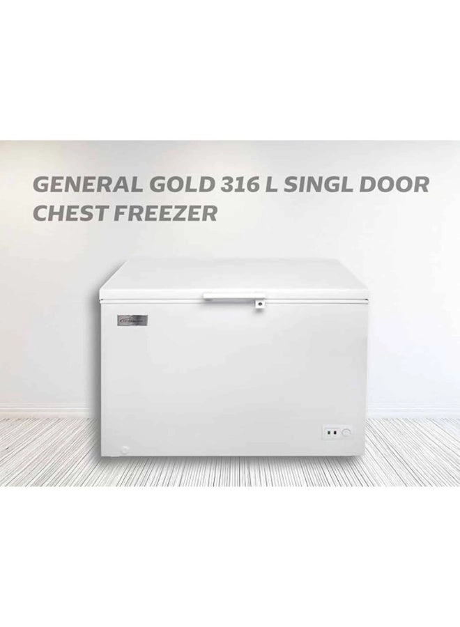 GG-CL1-316