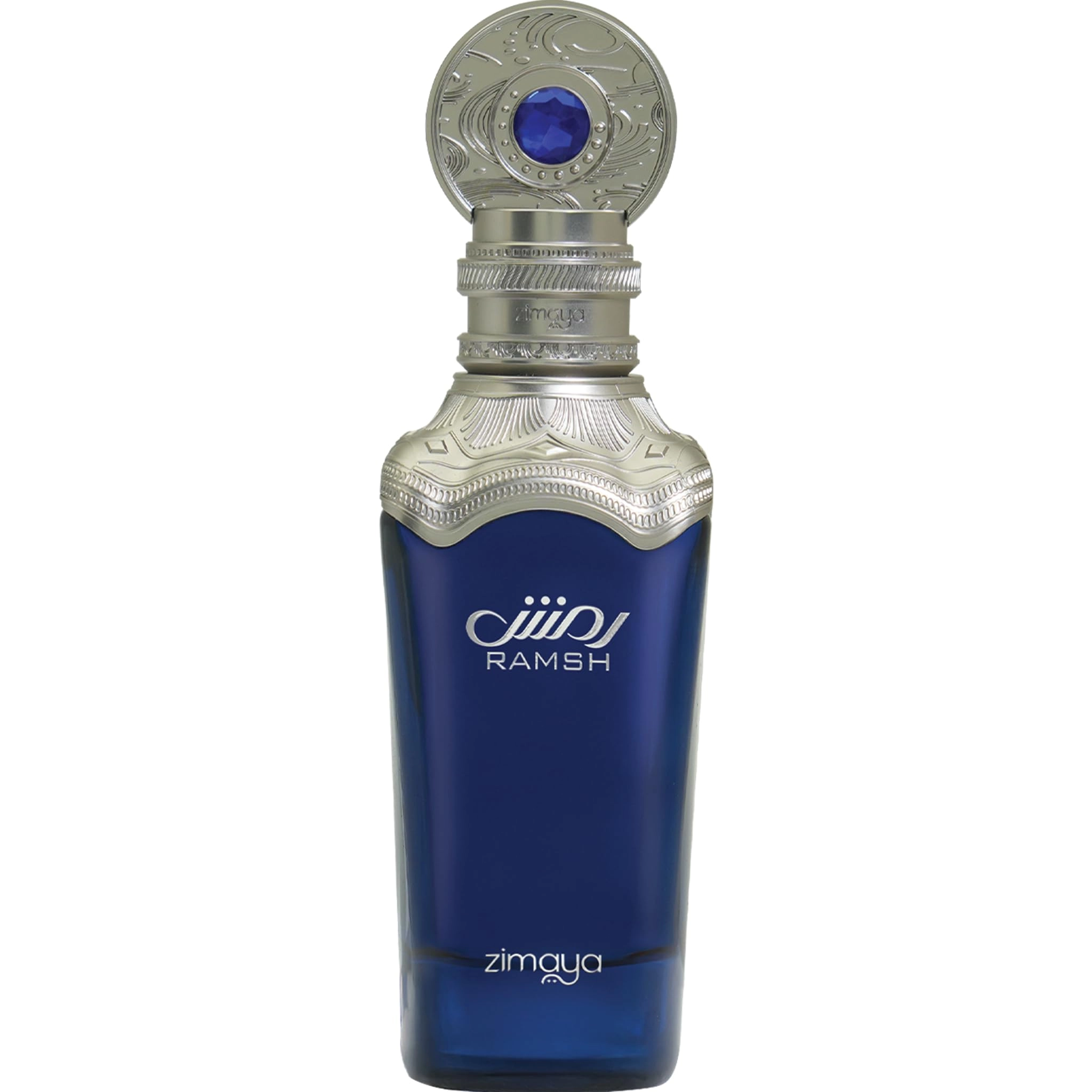 Afnan Perfumes LLC Ramsh Pour Homme Eau de Parfum 100 ml