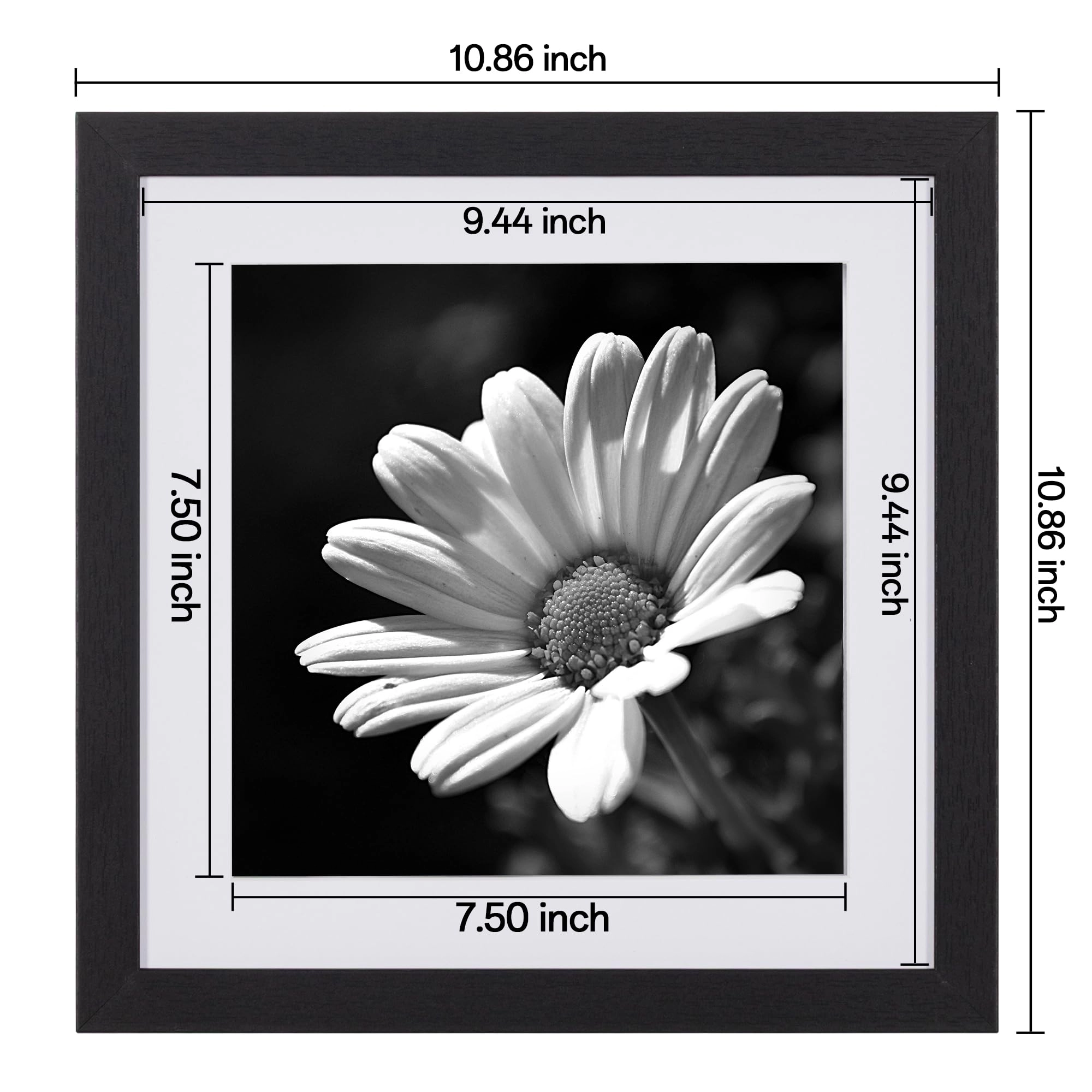 Gallery Wall Frame Set - 10x10