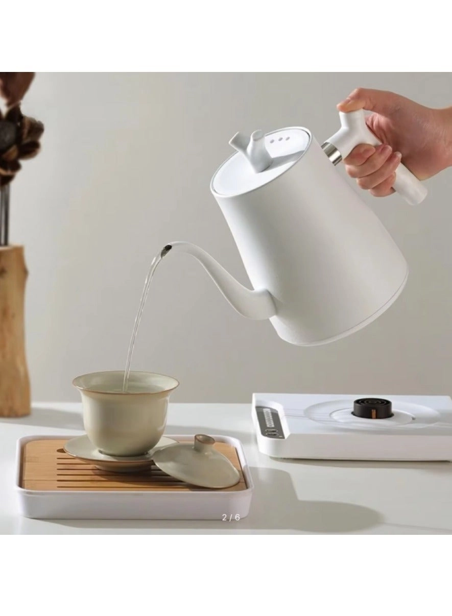 KETTLE001 Temperature Control Electric Kettle 