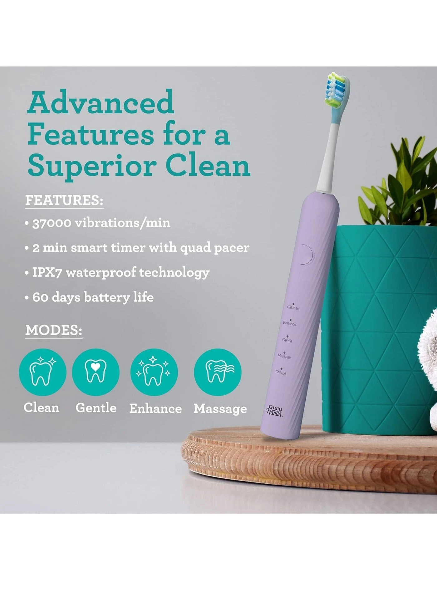 Lion & Lamb Kit 2.0 - 4 Brush Heads Lavender + Water Flosser - 4 Jet Tips IPX7 Waterproof