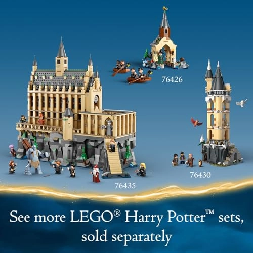 Harry Potter Hogwarts Castle: Potions Class (76431) - 4 Minifigures