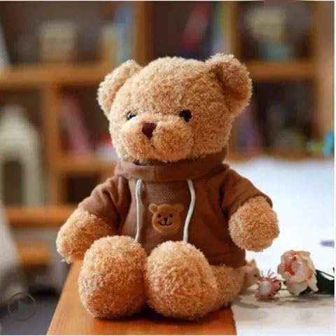 Teddy Bear