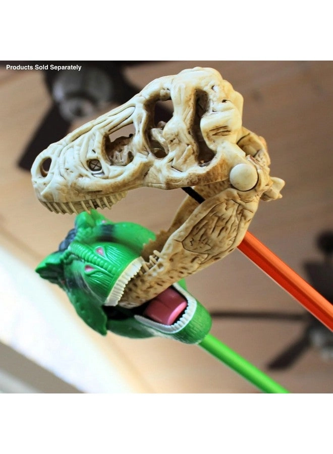 T-Rex Skull Snapper - 3 years+