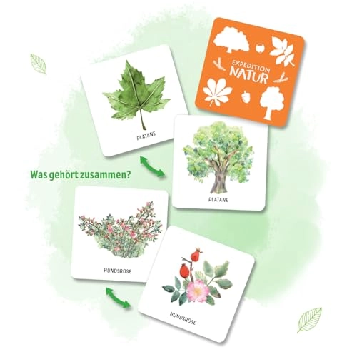 Expedition Nature - Large Trees & Shrubs Memo - 6+