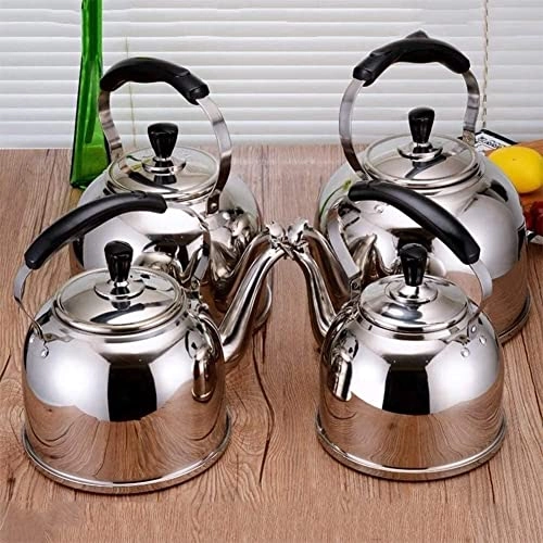 Stovetop Induction Whistling Kettle - 5L