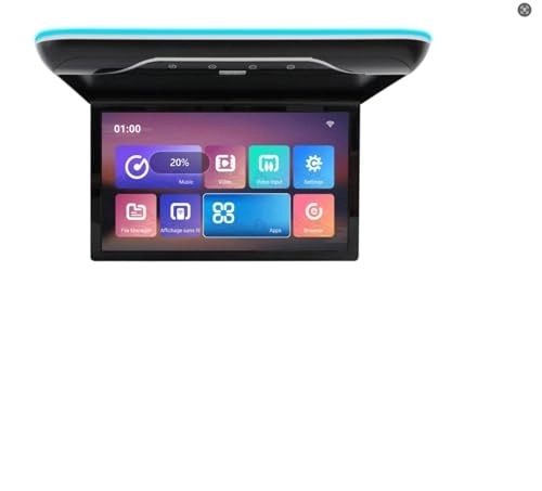 Roofmount LCD Monitor - 19in