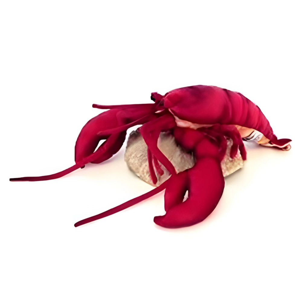 HANSA LOCAL Lobster 6093 Plush 40 cm Hand-Finished Red