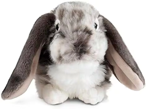 Living Nature Dutch Lop Eared Rabbit 18 cm Plush