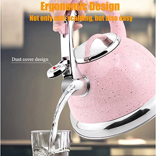 Tea Kettle - Stainless steel