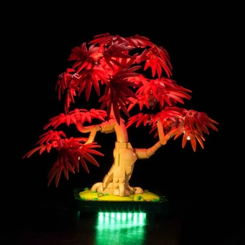 10348 Japanese Red Maple Bonsai Tree - Light Control Lighting Kit