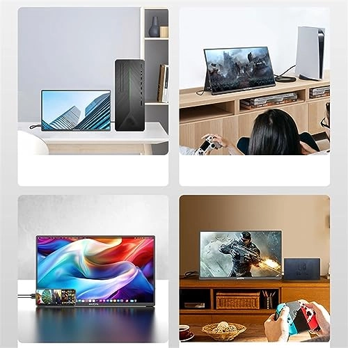 Portable Monitor - wpenshiDM125 17.3 inches 1920*1080