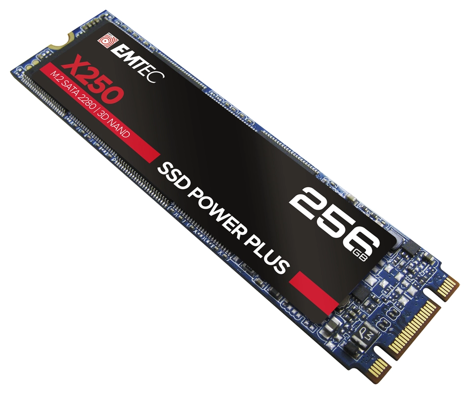 X250 Power Plus - 256GB M.2