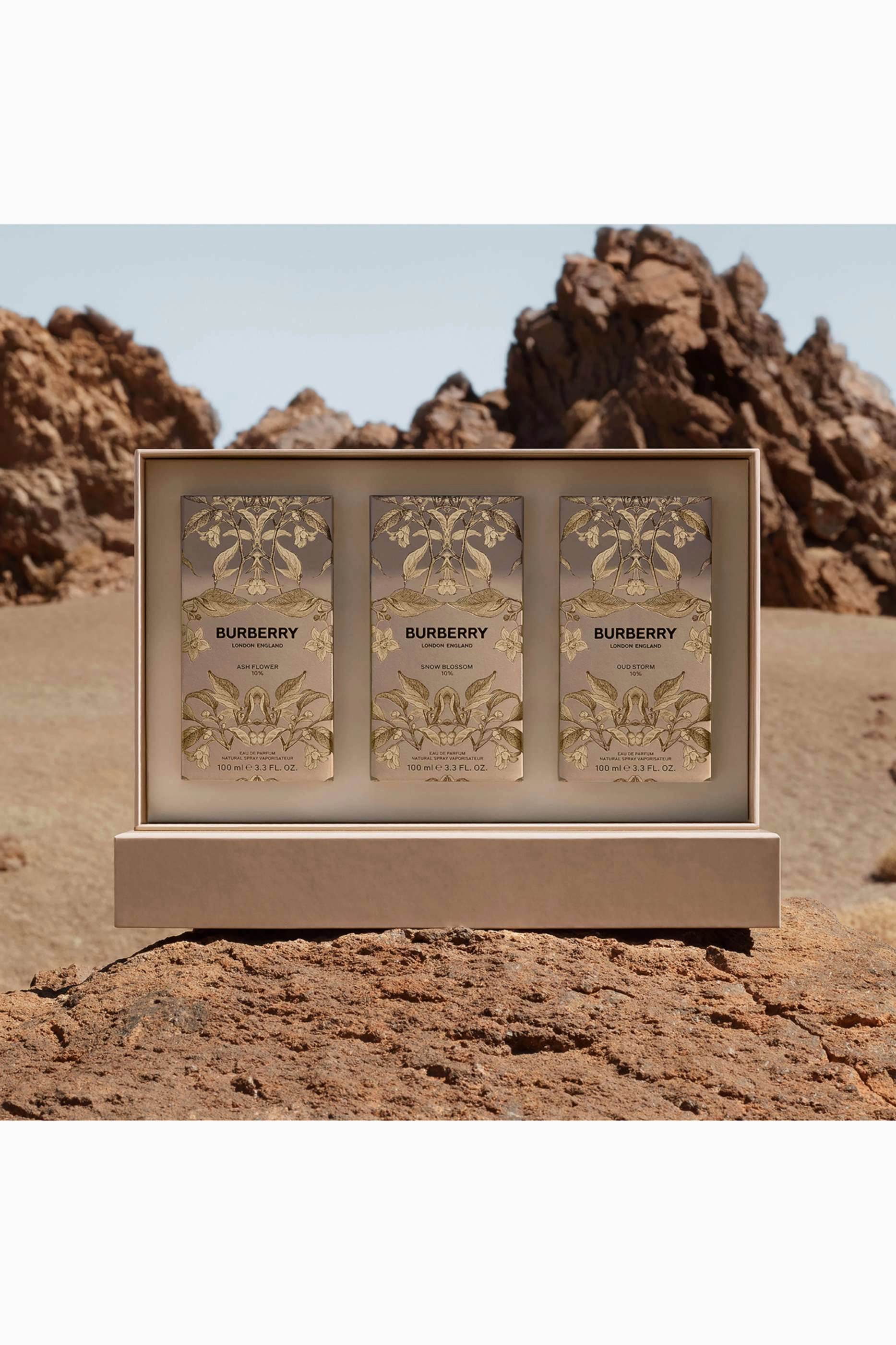 Oud Storm Eau de Parfum 100 ml