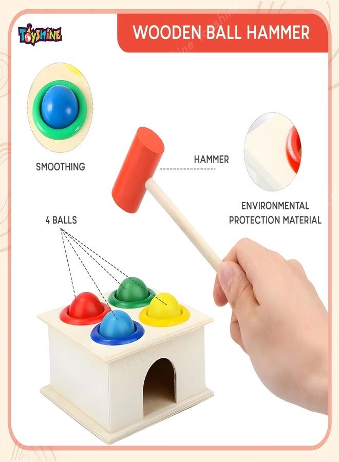 Wooden Ball Hammer Pound Shape Sorter - 5 pieces