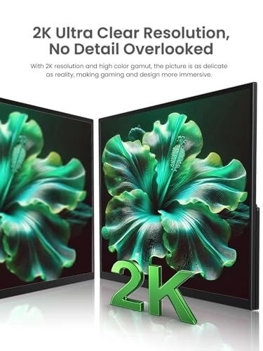 Portable Monitor 2K - 22 Inches