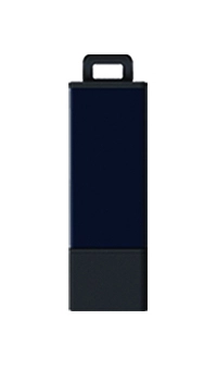 Datastick Pro - USB 2.0 8GB