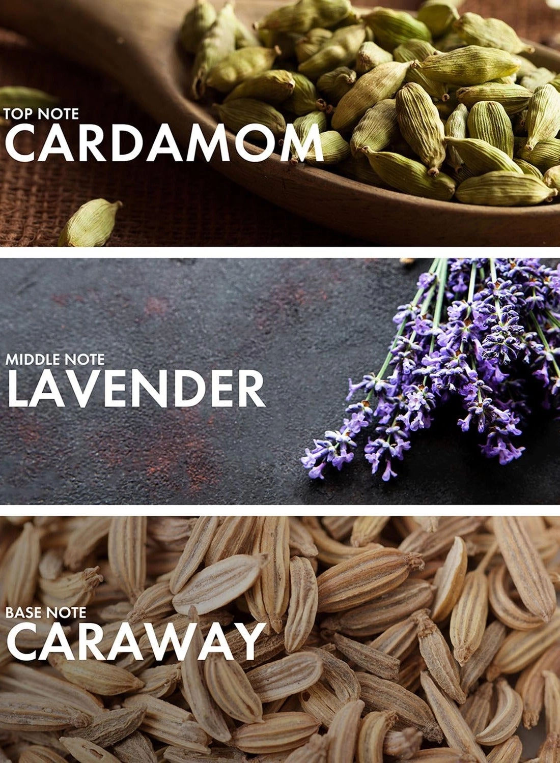 Aromatic Passionfruit - Eau de Parfum 50 ml