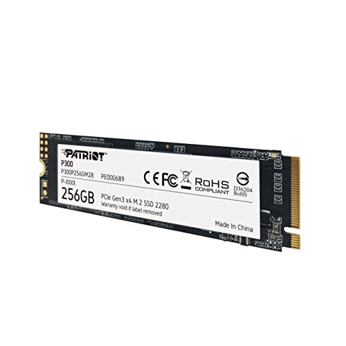 P300 - 256GB M 2