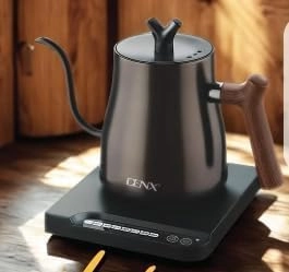 Denx Temperature Control DX3805
