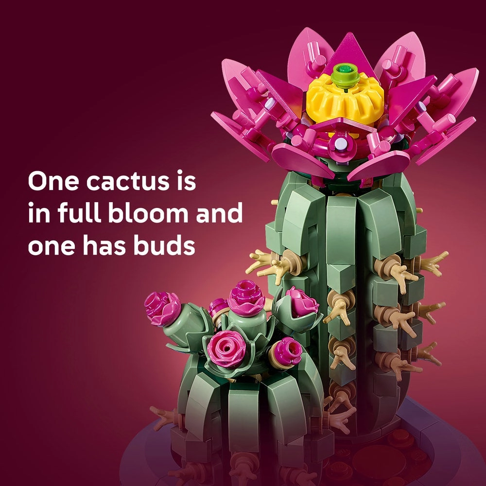 Flowering Cactus (11509)