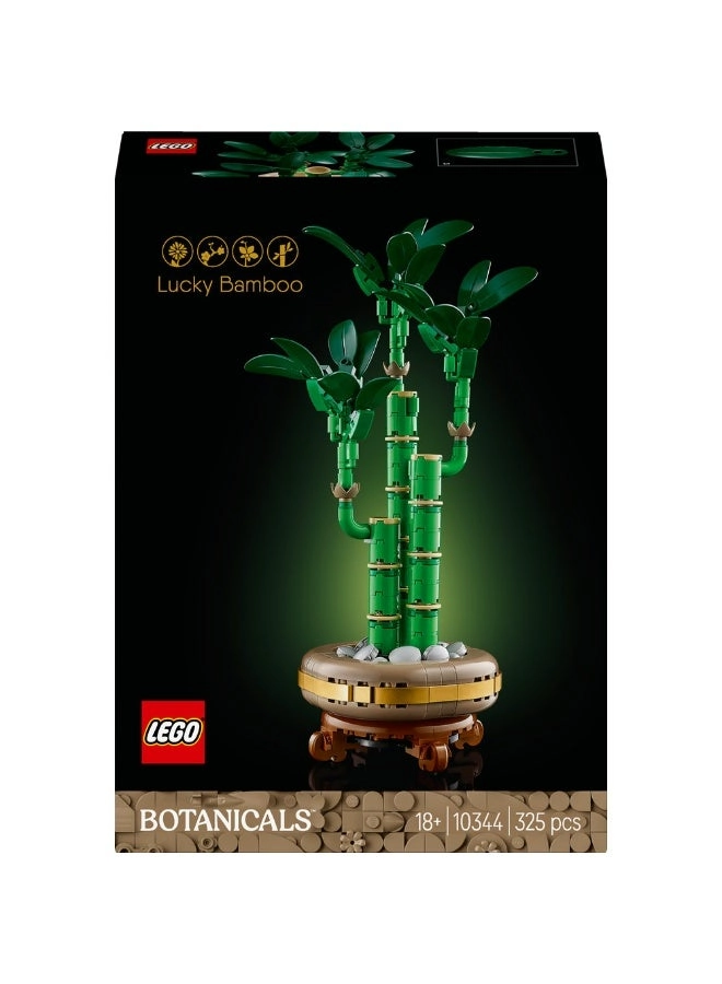 Lucky Bamboo (10344) - Botanicals