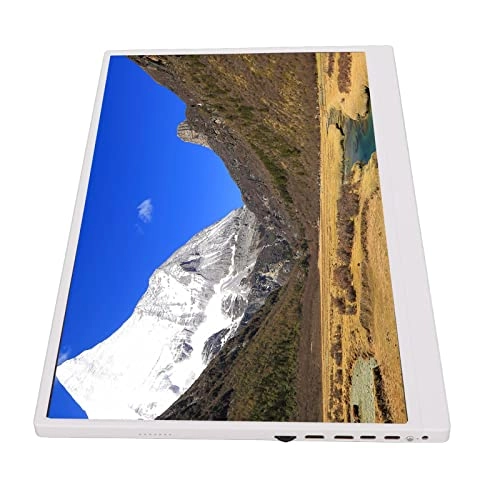 Type C External Monitor - FHD 1080p 17.3 Inches