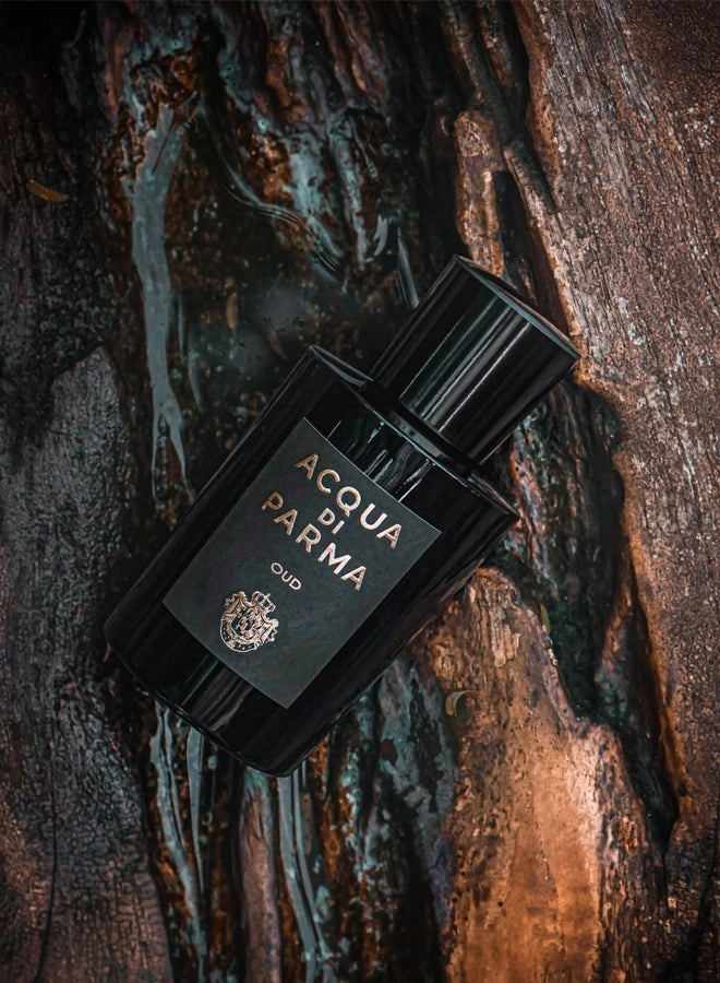 Oud Eau de Parfum 100ml