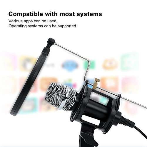 SK-30 USB Microphone