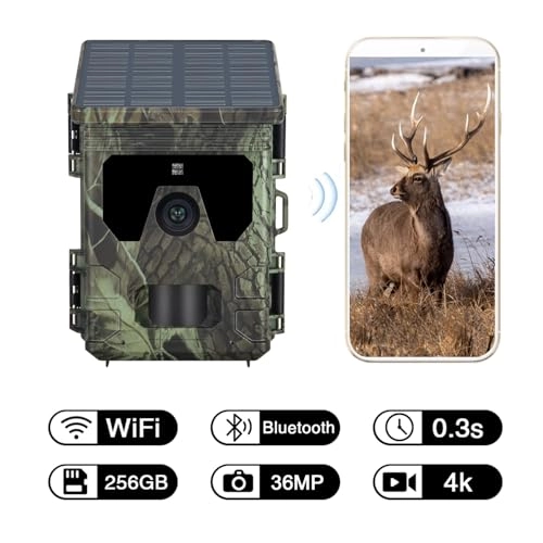 Trail Camera - 30 megapixel