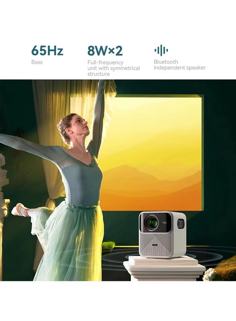 Mozart 1 Mozart1 900 ANSI