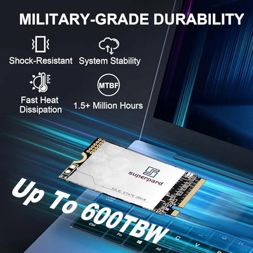 SSD - 256 GB M.2 2242 NVMe