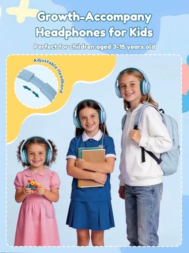 OHW328 Wired Headphone