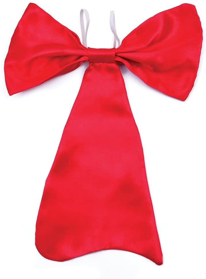 COLOR LAND CHILDRENS TOYS CENTER LLC Bristol Novelty Bow Tie - Large