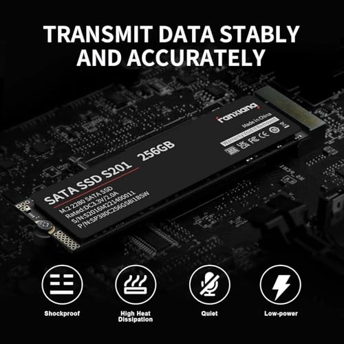 S201 - 256GB M.2 2280