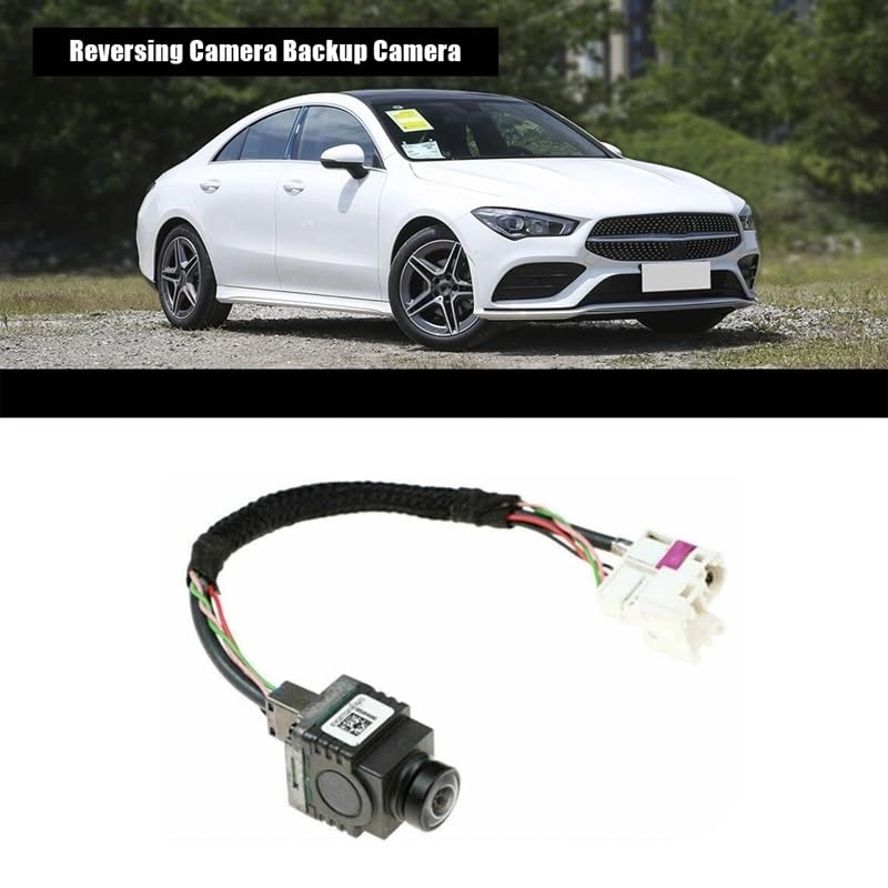 A1669059602 - Night vision