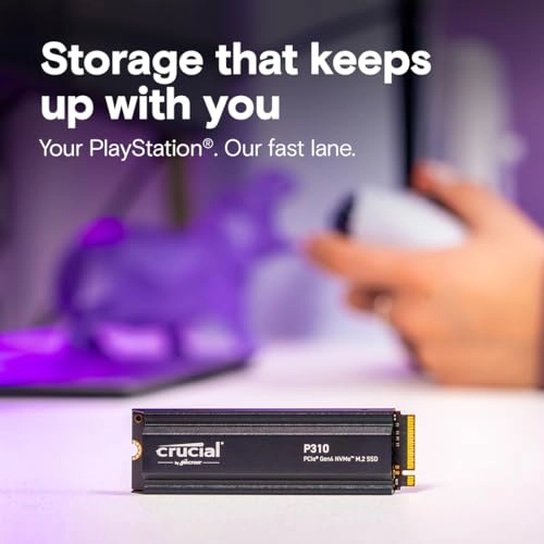 P310 - 2TB M.2