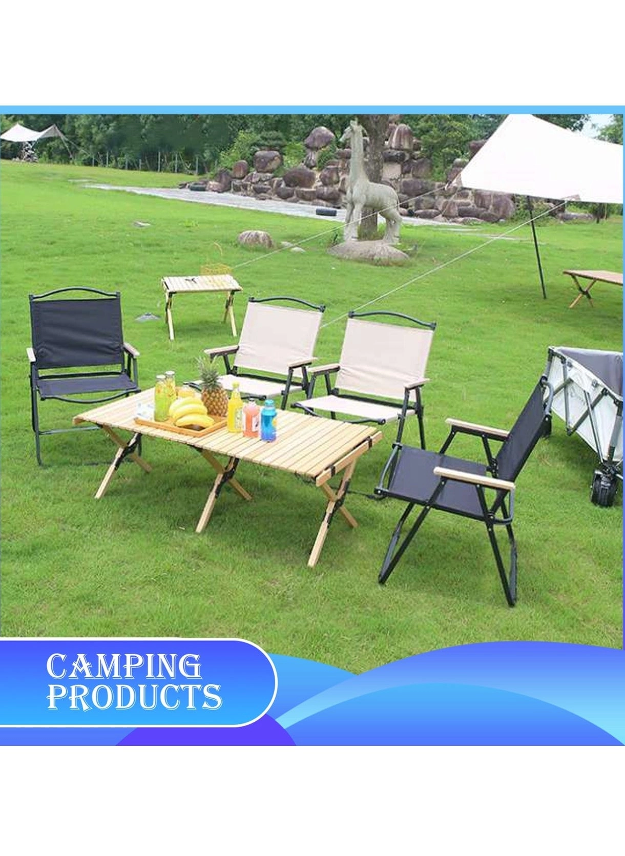 Folding Camping Chair