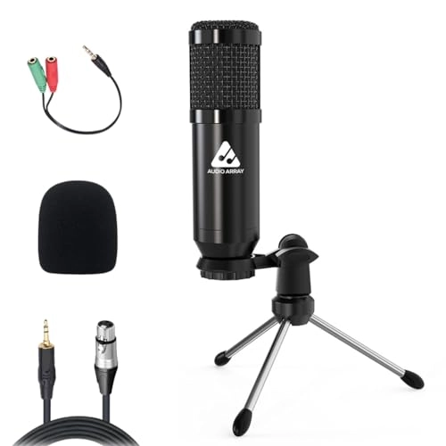 AM-C39 XLR+3.5mm-Mini-Jack Microphone