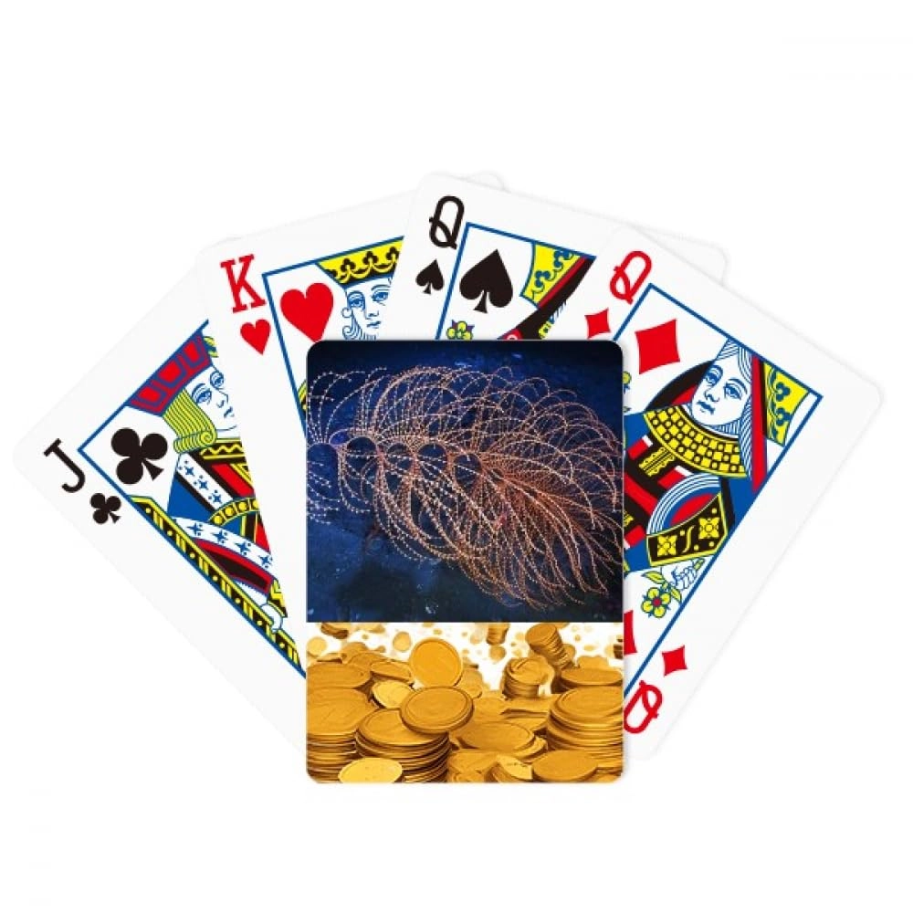 no/no Ocean Water Line - Bridge Size 52 playing cards 2 Jokers