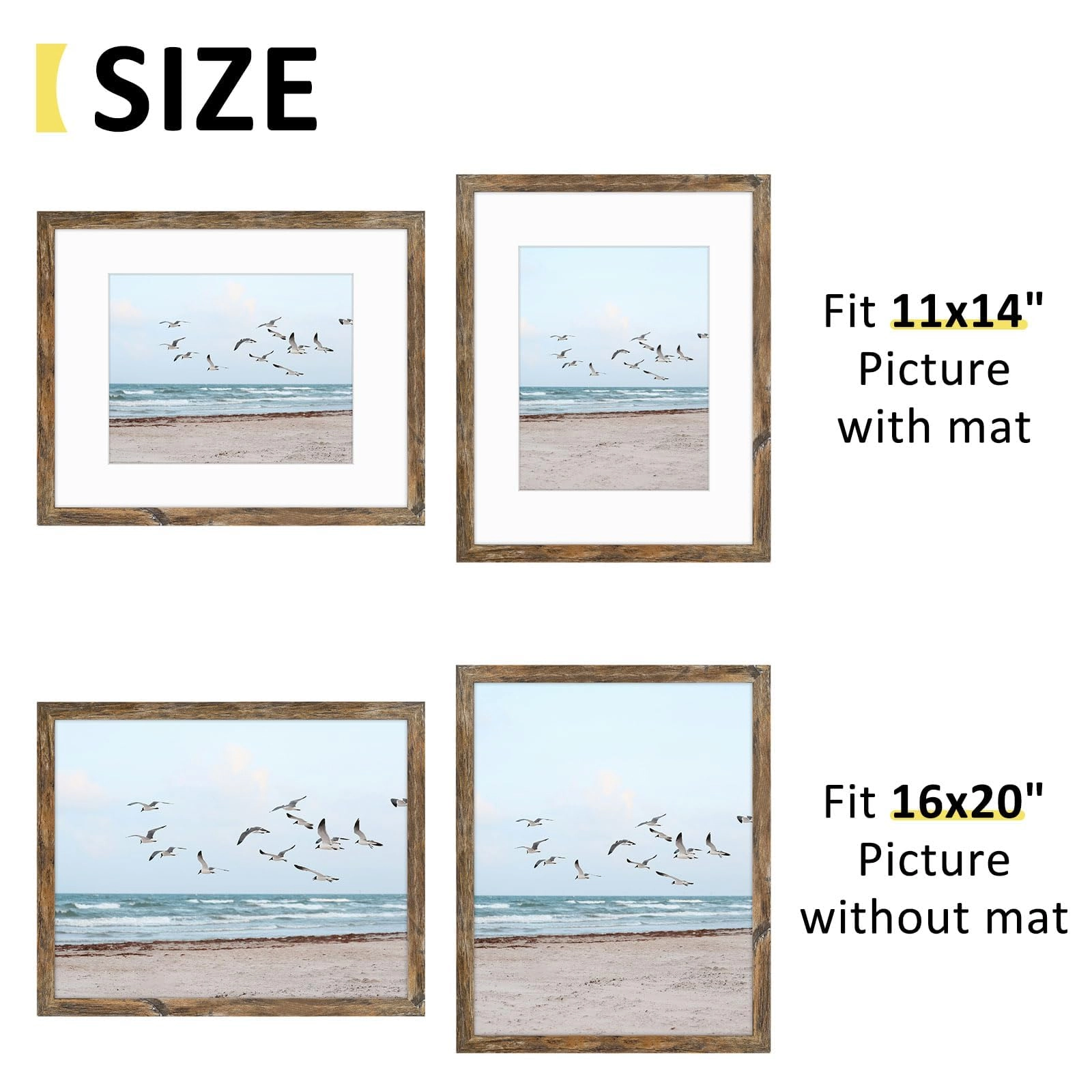 16x20 Frames Display