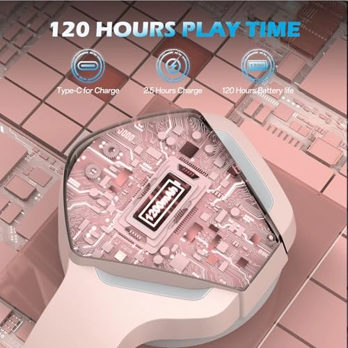 BW01-BT Wireless Headset