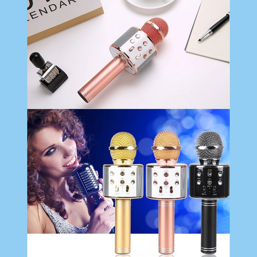 WS-858 Wireless Microphone