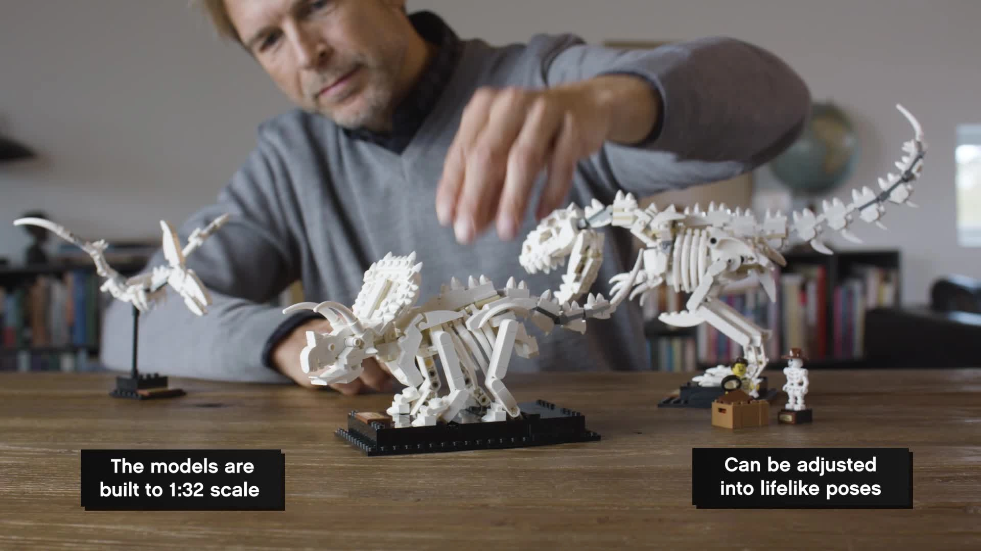 Ideas Dinosaur Fossils (21320) - 1:32 scale