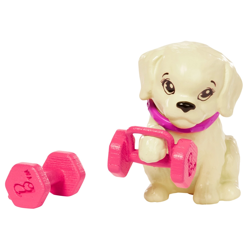 Barbie Wellness Doll Playset - Workout Ages 3+
