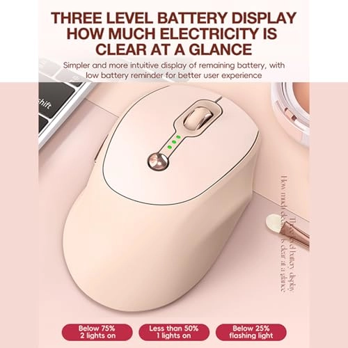Q23C - 2.4GHz Wireless BT5.1 Dual-Mode